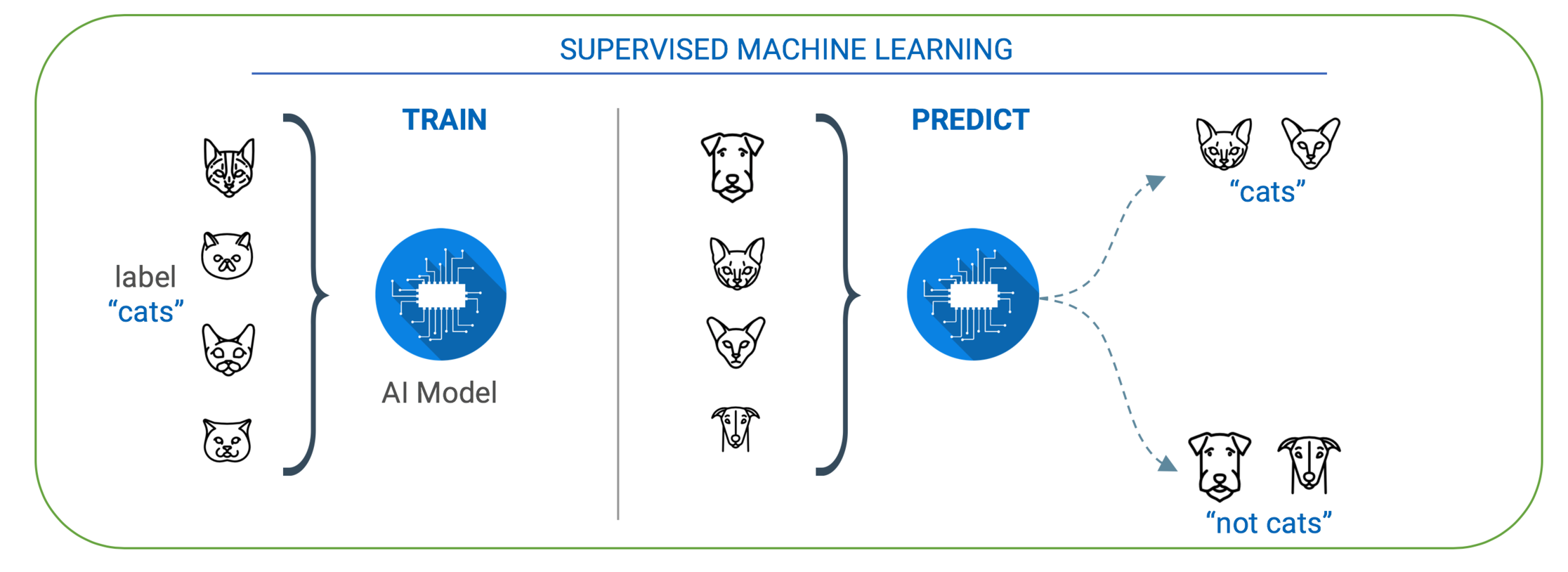 Machine store learning labeling